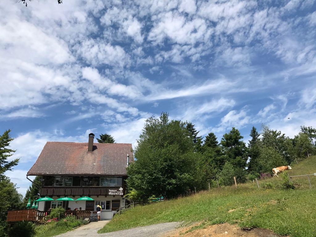 Gasthaus Moosegg 洛查贝布里根 外观 照片